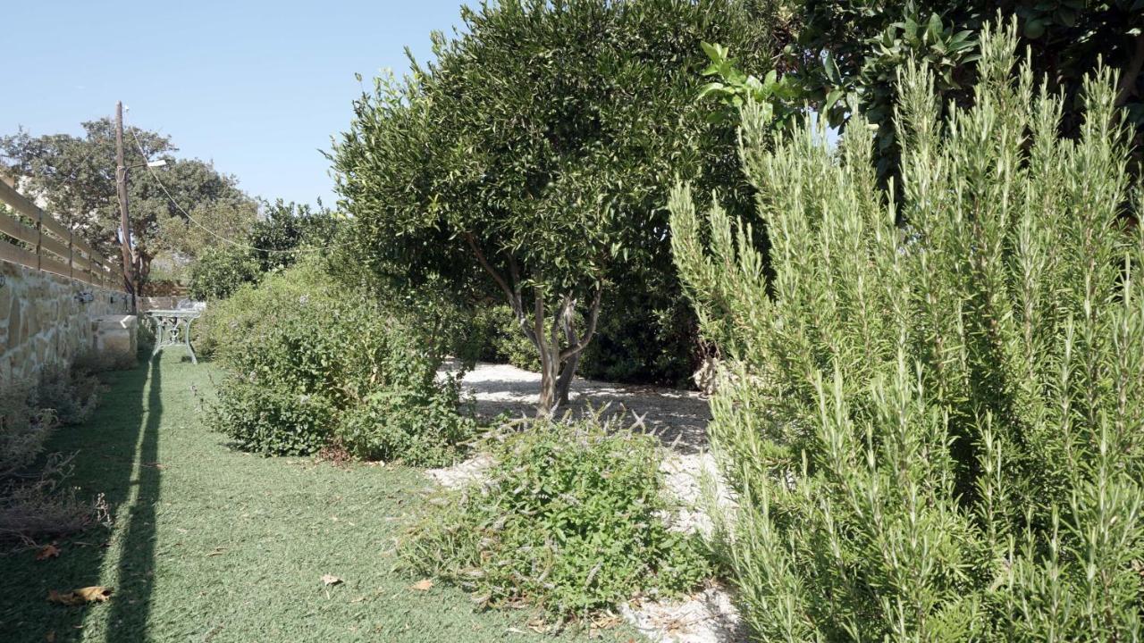 Studio Eleni - Oasis Holiday Houses Kokkinos Pirgos Extérieur photo