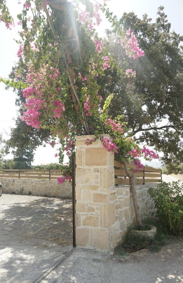 Studio Eleni - Oasis Holiday Houses Kokkinos Pirgos Extérieur photo