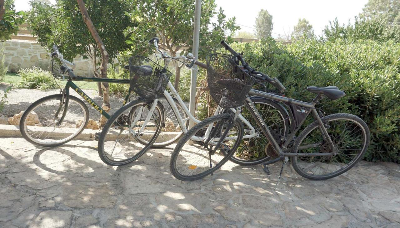 Studio Eleni - Oasis Holiday Houses Kokkinos Pirgos Extérieur photo